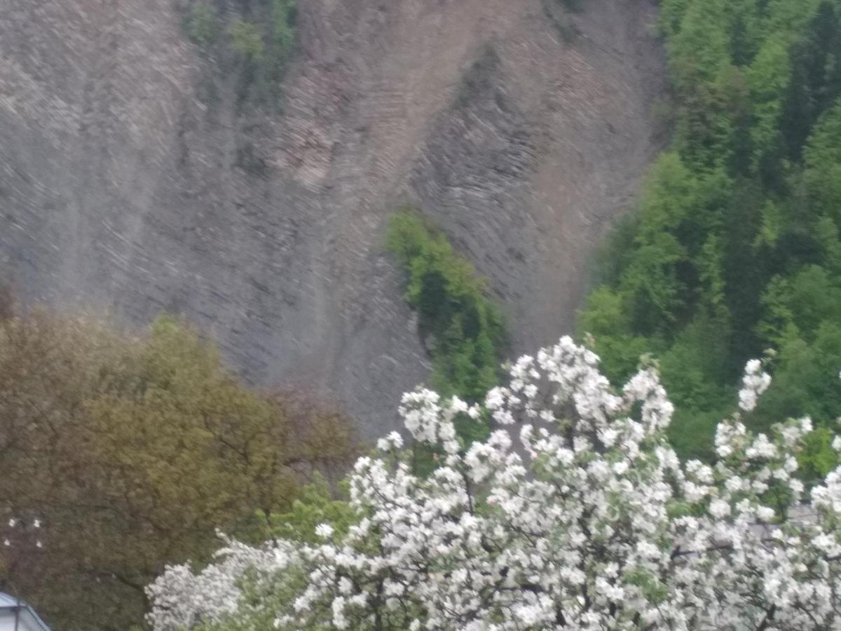 Zelena Sadyba Bila Stavka Yaremche Bagian luar foto